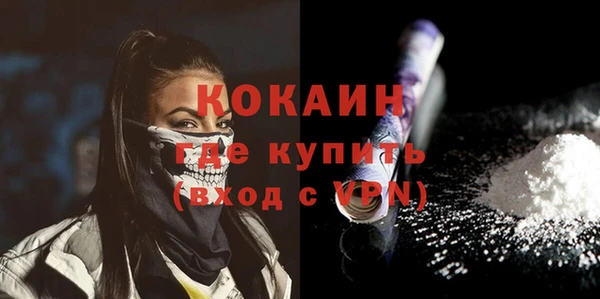 гашик Касимов
