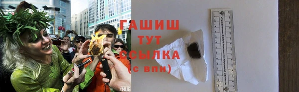 гидра Карпинск