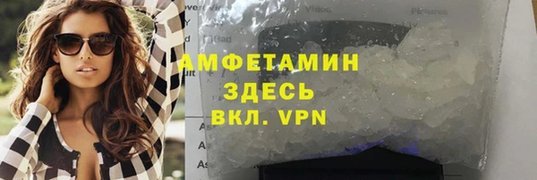 гидра Карпинск