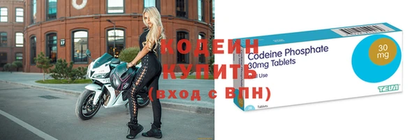 гидра Карпинск