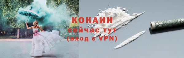 гашик Касимов