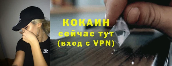 гидра Карпинск