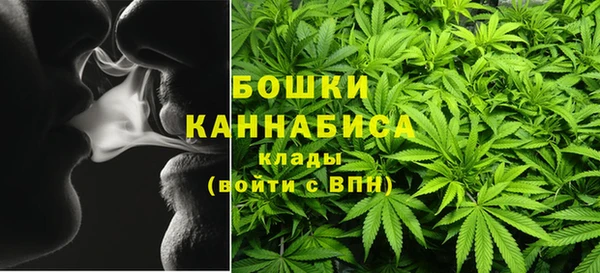 гидра Карпинск