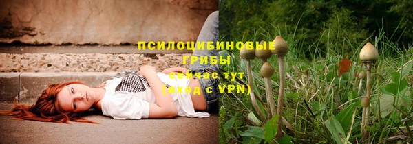 спиды Карталы