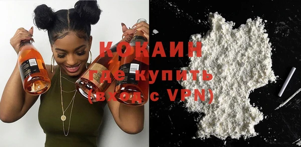 гашик Касимов