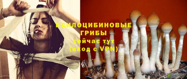 прущий лед Кодинск