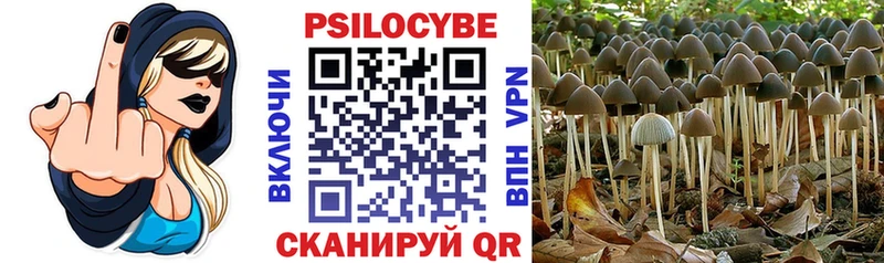 Галлюциногенные грибы GOLDEN TEACHER  Купить где  Белогорск 